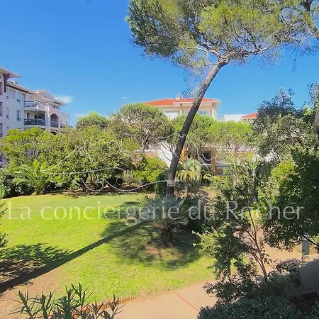 Appartement 2 Personnes A Pied Au Grand Parc St Aygulf